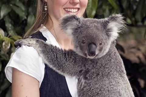 Lone Pine Koala Sanctuary Admission With Brisbane River Cruise - Attractions Las Vegas 1