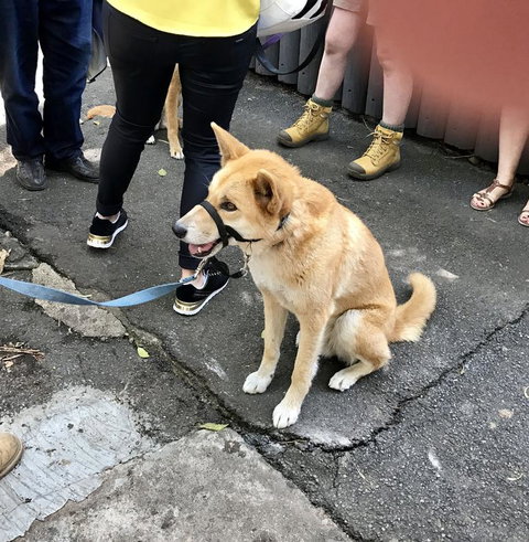 Lone Pine Koala Sanctuary Admission With Brisbane River Cruise - Attractions Las Vegas 22