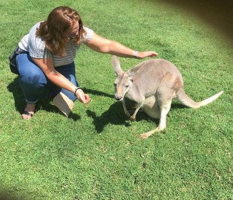 Lone Pine Koala Sanctuary Admission With Brisbane River Cruise - Attractions Las Vegas 13