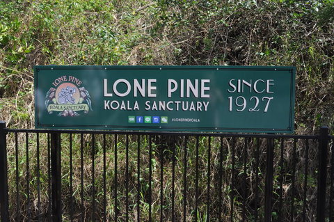 Lone Pine Koala Sanctuary Admission With Brisbane River Cruise - Attractions Las Vegas 7