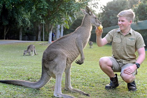 Small-Group Australia Zoo Day Trip From Brisbane - Attractions 6