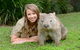Small-Group Australia Zoo Day Trip From Brisbane - thumb 5