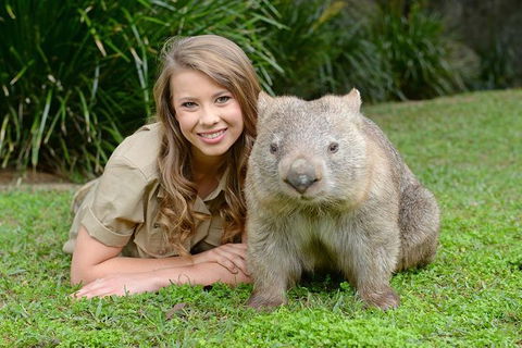 Small-Group Australia Zoo Day Trip From Brisbane - Attractions 5