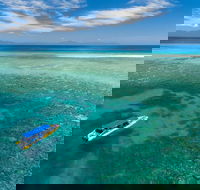Ocean Safari Great Barrier Reef Experience in Cape Tribulation - Attractions