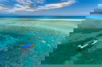 Ocean Safari Great Barrier Reef Experience in Cape Tribulation