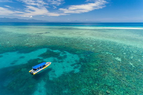 Ocean Safari Great Barrier Reef Experience In Cape Tribulation - Attractions 0