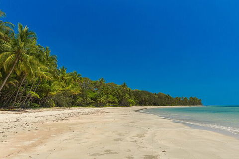 Ocean Safari Great Barrier Reef Experience In Cape Tribulation - Attractions 3