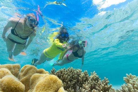 Ocean Safari Great Barrier Reef Experience In Cape Tribulation - Attractions 4
