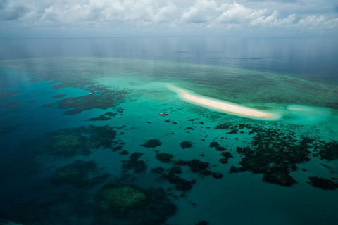 Ocean Safari Great Barrier Reef Experience In Cape Tribulation - Attractions 16