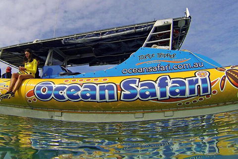 Ocean Safari Great Barrier Reef Experience In Cape Tribulation - Attractions 8