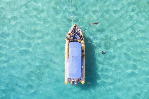 Ocean Safari Great Barrier Reef Experience In Cape Tribulation - Attractions 17