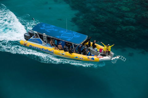 Ocean Safari Great Barrier Reef Experience In Cape Tribulation - Attractions 9