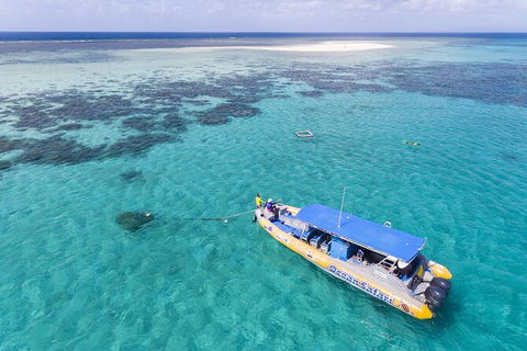 Ocean Safari Great Barrier Reef Experience In Cape Tribulation - Attractions 11