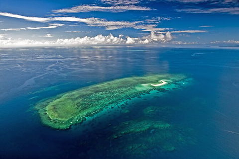Ocean Safari Great Barrier Reef Experience In Cape Tribulation - Attractions 15