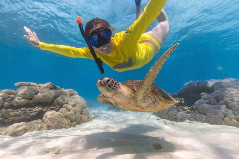 Ocean Safari Great Barrier Reef Experience In Cape Tribulation - Attractions 2