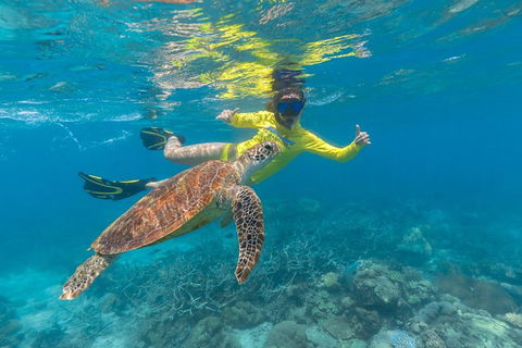 Ocean Safari Great Barrier Reef Experience In Cape Tribulation - Attractions 14