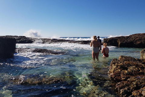 2-Day Moreton Island Tour From Brisbane Or Gold Coast With Optional Nighttime Kayaking - Attractions 10