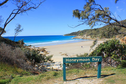 2-Day Moreton Island Tour From Brisbane Or Gold Coast With Optional Nighttime Kayaking - Attractions 12