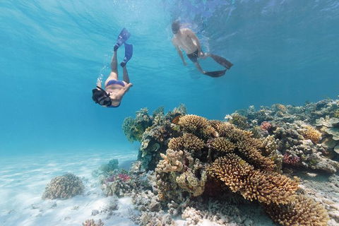 5-Day Fraser Island And Great Barrier Reef Tour - Attractions 1