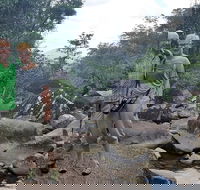 Personalised Private Platypus Land Tour - Attractions