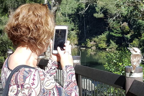 Personalised Private Platypus Land Tour - Attractions 3