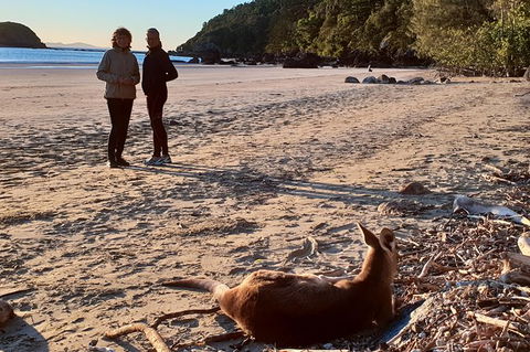 Personalised Private Platypus Land Tour - Attractions 10