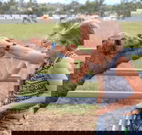 Camel Farm Deluxe Experience