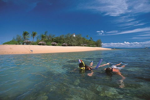 Mossman Gorge Dreamtime Walk And Low Isles Snorkeling And Sailing Cruise - Attractions Las Vegas 1