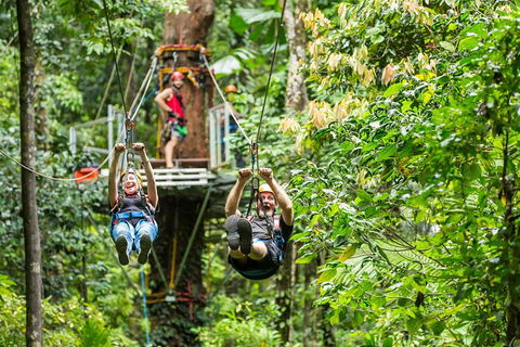 Cape Tribulation Jungle Surfing Canopy Tour - Attractions Las Vegas 1