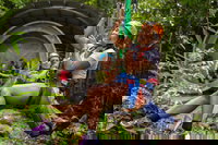 Cape Tribulation Jungle Surfing Canopy Tour