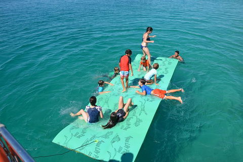 Fraser Island & Dolphin Sailing Adventure - Attractions 6