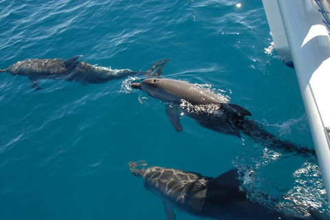 Fraser Island & Dolphin Sailing Adventure - Attractions 2
