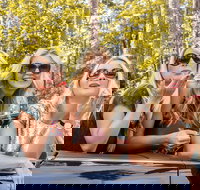 Luxury Brisbane Airport Transfers To and From Surfers Paradise for up to 11 Per