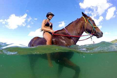 Horse Swimming Ride From Rainbow Beach - Attractions 1