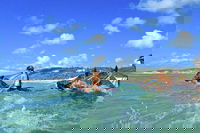 Horse Swimming Ride from Rainbow Beach