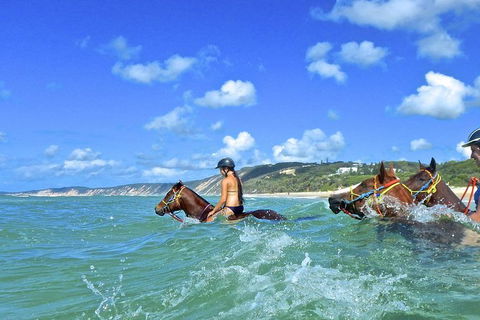 Horse Swimming Ride From Rainbow Beach - Attractions 0