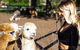 O\'Reilly\'s & Lamington National Park Incl. Alpaca Farm + Vineyard - thumb 1