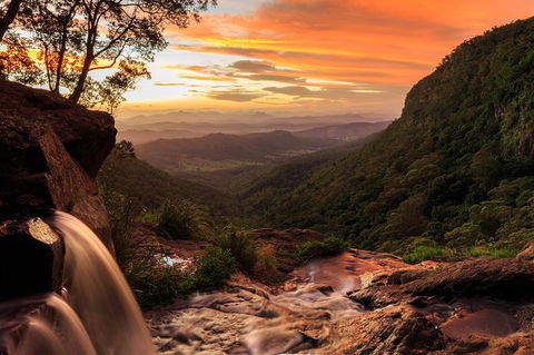 O\'Reilly\'s & Lamington National Park Incl. Alpaca Farm + Vineyard - Attractions 6