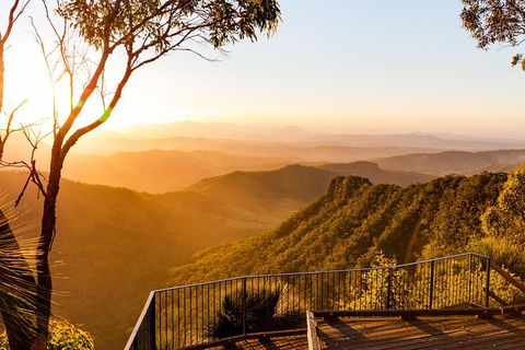 O\'Reilly\'s & Lamington National Park Incl. Alpaca Farm + Vineyard - Attractions 3