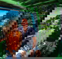 Skyrail Rainforest Cableway Day Trip from Palm Cove - Attractions