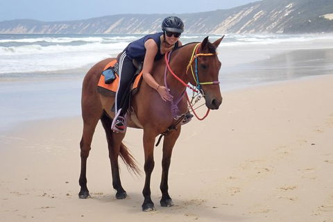 Rainbow Beach Horse Ride - Attractions 2