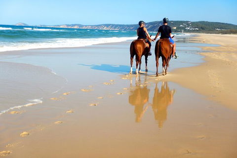 Rainbow Beach Horse Ride - Attractions 3