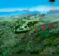 Small-Group Kuranda Village Skyrail Cableway and Scenic Railway Day Trip from Port Douglas - Attractions