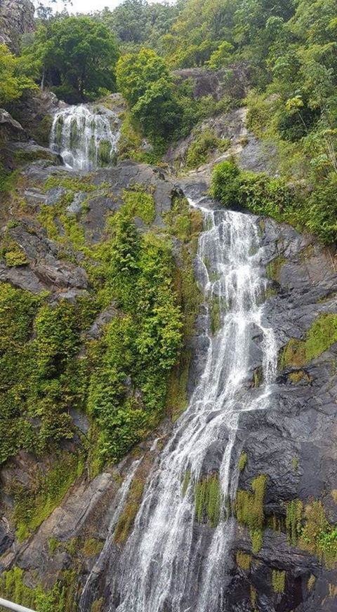 Kuranda Full-Day Small-Group Tour From Port Douglas - Attractions 4