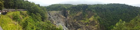 Kuranda Full-Day Small-Group Tour From Port Douglas - Attractions 3