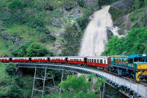 Kuranda Full-Day Small-Group Tour From Port Douglas - Attractions 1
