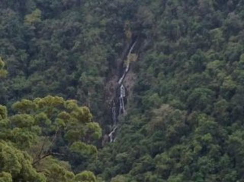 Kuranda Full-Day Small-Group Tour From Port Douglas - Attractions 9