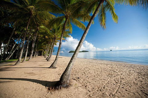Kuranda Full-Day Small-Group Tour From Port Douglas - Attractions 17