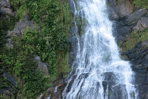 Kuranda Full-Day Small-Group Tour From Port Douglas - Attractions 14