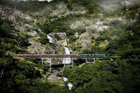 Kuranda Full-Day Small-Group Tour From Port Douglas - Attractions 16